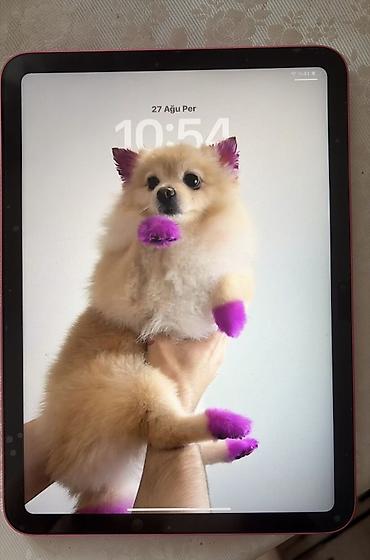ремонт ipad: Б/у Apple iPad 11 (2025), 11", 128 ГБ, Самовывоз, Платная доставка — 2