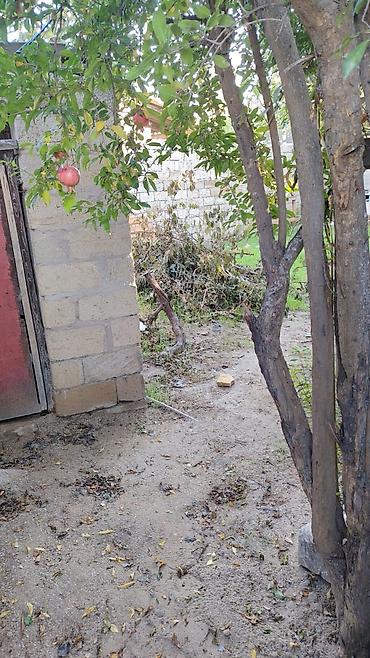 Bağ evlərinin satışı: Salam maşataga karvan şadliq evin arxasinda yerlesir.yari tikilidir — 7
