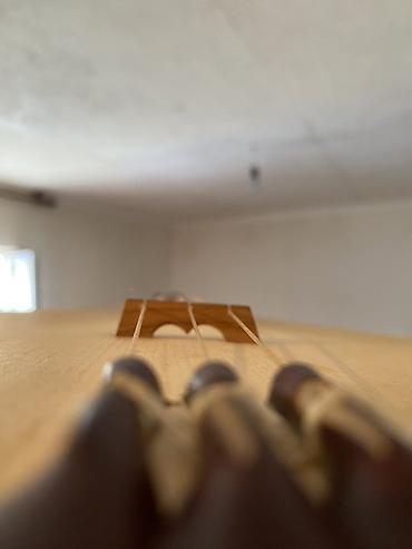 instrument: Струнный народный инструмент (гудок/гудок-лира, 3-струнный) с мягким — 2