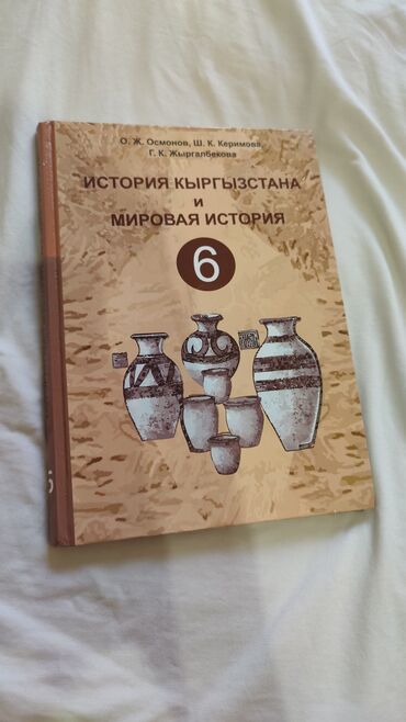 Детские книги: Книга по истории для 6 классов