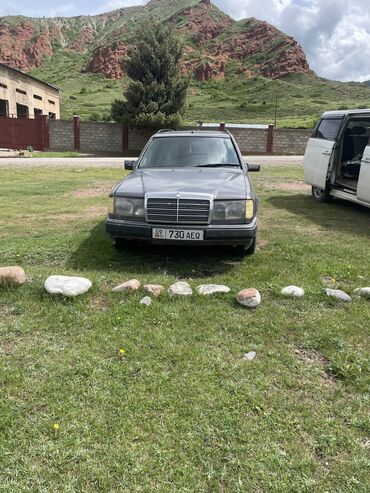 mercedes benz s 300: Mercedes-Benz 230: 1992 г., 2.3 л, Механика, Бензин, Универсал