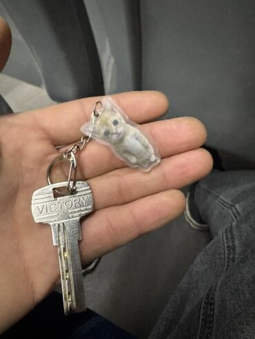 находки документов бишкеке: Нашли ключ киевская орозбекова