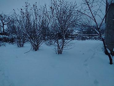 Torpaq sahələrinin satışı: 10 sot, Biznes üçün, Mülkiyyətçi, Kupça (Çıxarış) — 1