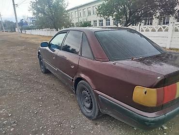 Audi: Audi 100: 1991 г., 2.3 л, Автомат, Газ, Седан — 6