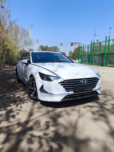 купить byd song plus: Hyundai Sonata: 2020 г., 2 л, Автомат, Гибрид, Седан