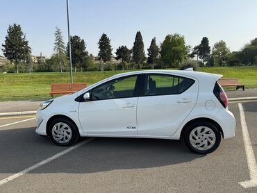 Toyota: Toyota Prius: 1.5 l | 2019 il Hetçbek — 3