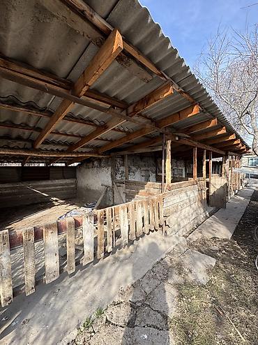 Продажа коттеджей и домов: ✨Продаётся дом в с. Беловодское✨ 📐Участок: 10 соток • Общая площадь — 8