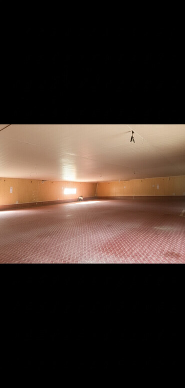 Склады и мастерские: Здаем помещения в городе Кант. под склад или небольшое производство at lalafo.kg — 8 Склады и мастерские: Здаем помещения в городе Кант. под склад или небольшое производство — 8