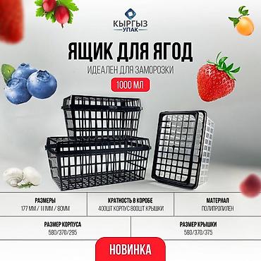 Себеттер: Себет, Жаңы — 2