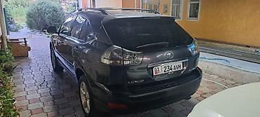 Lexus: Lexus RX: 2004 г., 3.3 л, Автомат, Газ, Кроссовер — 4