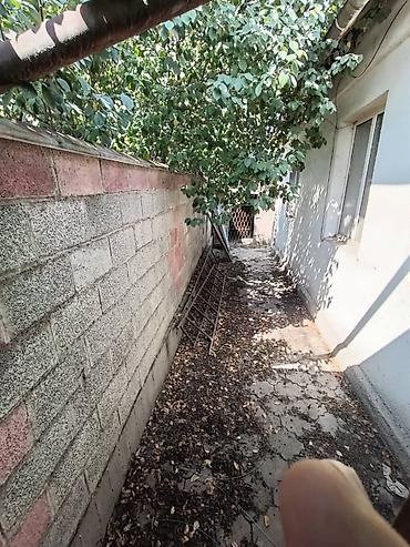Продажа коттеджей и домов: Продается дом 67,2 кв м вниз по Советской пер.Львовский(Туб больница) — 6