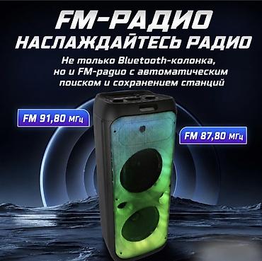 rant ace: Портативная Bluetooth караоке колонка Acike AK-101 с микрофоном Купить — 9