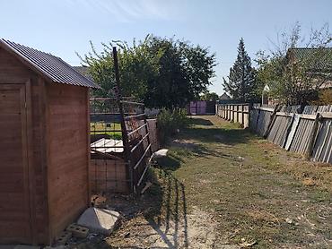 Үйлөрдү сатуу: 2 бөлмө, 60 м², 11 соток, Ак-Бата ж/м — 7