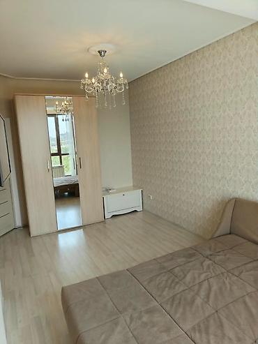 12: 1 комната, 41 м², 5 мкр Элитка, 6 этаж, Евроремонт — 4