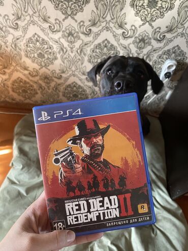 PS4 (Sony PlayStation 4): Ps4 ps5 RED DEAD REDEMPTION 2

торга нет