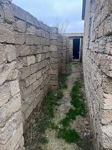 mehemmedi torpaq satilir: 4 sot, Tikinti, Mülkiyyətçi, Kupça (Çıxarış) — 4