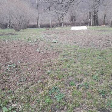 Torpaq sahələrinin satışı: 8 sot, Tikinti, Bələdiyyə — 5