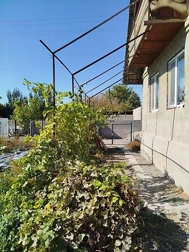 Продажа дач: Город Токмак дача 1 вода свет всё есть — 6