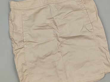 Women's Clothing: Terranova, Women`s skirt, S (EU 36)