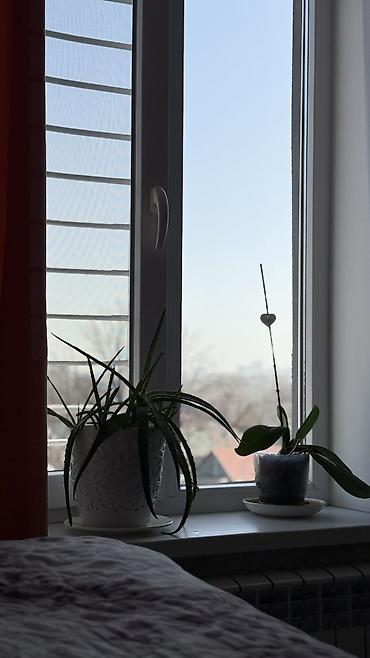 Продажа квартир: 3 комнаты, 66 м², 4 этаж, Евроремонт — 6