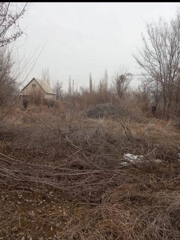 container house дома из контейнеров бишкек, контейнеры в бишкеке фото: 4 соток, Бизнес үчүн, Кызыл китеп