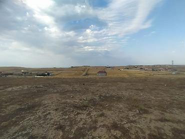 Torpaq sahələrinin satışı: 12 sot, Kupça (Çıxarış) — 3