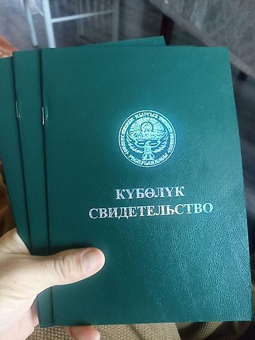 67: 384 соток, Для сельского хозяйства — 1