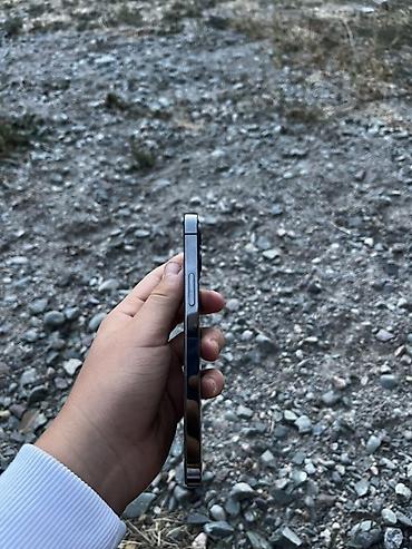 электро грелка: IPhone 12 Pro, модель A2407 Характеристики и детали: - Память: 128 ГБ — 5