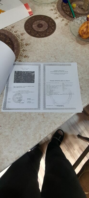 Həyət evləri və villaların satışı: Satış üçün fərdi yaşayış evi satılır.şəxsi tikili .ünvan novxanı — 67