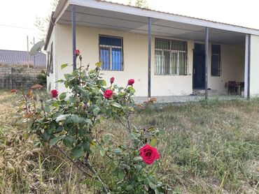 баку аренда квартир: Bağ evi satilir. Bakı ş, Lehiş bağları 27- ci dalan( Sea Breeze)