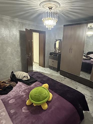 zamin əmlak: 5 otaqlı, 299 kv. m, Kredit yoxdur, Yeni təmirli — 9