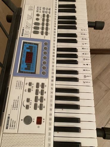 настольный микрофон: Синтезатор BB-570 с микрофоном и стойкой - Клавиатура: 61