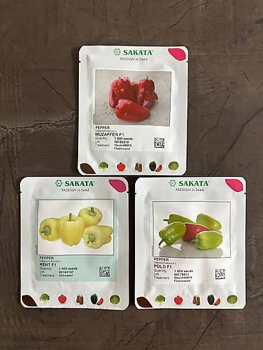 Другие овощные культуры: Семена овощных культур SAKATA (профессиональная серия, фасовка по 1000 — 2