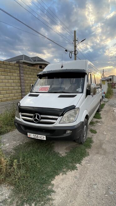 Трансфер, пассажирские перевозки: По региону, Аэропорт, По городу Бус | 18 мест