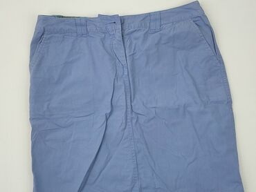 Skirts: Skirt, M (EU 38), condition - Very good