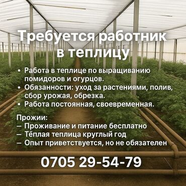 работа швея: Требуется работник в теплицу 🔹 Зарплата: 25 000 сомов 🔹 Проживание и