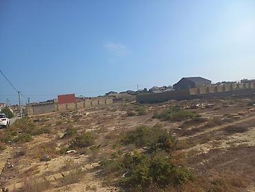 digahda torpaq: 6 sot, Tikinti, Mülkiyyətçi, Kupça (Çıxarış) — 8