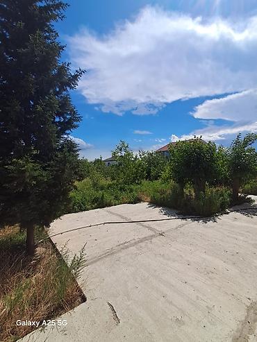 Həyət evləri və villaların satışı: 7 otaqlı, 280 kv. m, Kredit yoxdur, Təmirsiz — 18