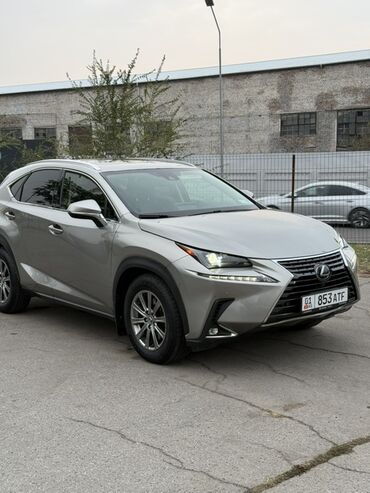нексия зеркало: Lexus NX: 2020 г., Кроссовер