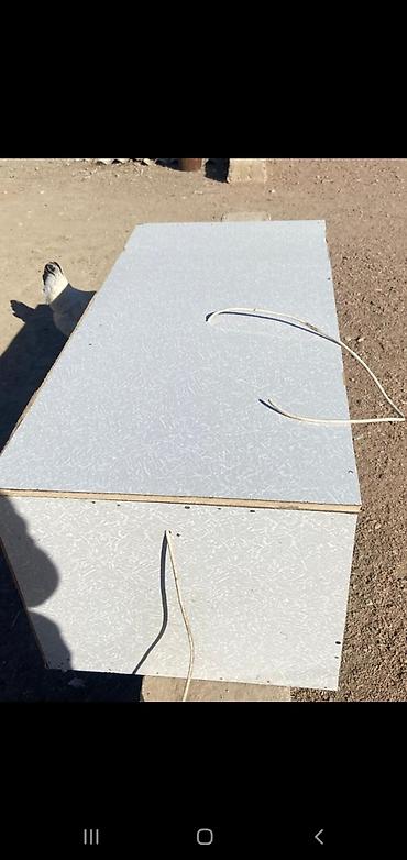 Товары и оборудование для с/х животных: Брудер для цыплят/молодняка птицы - Закрытая теплая коробка с — 6