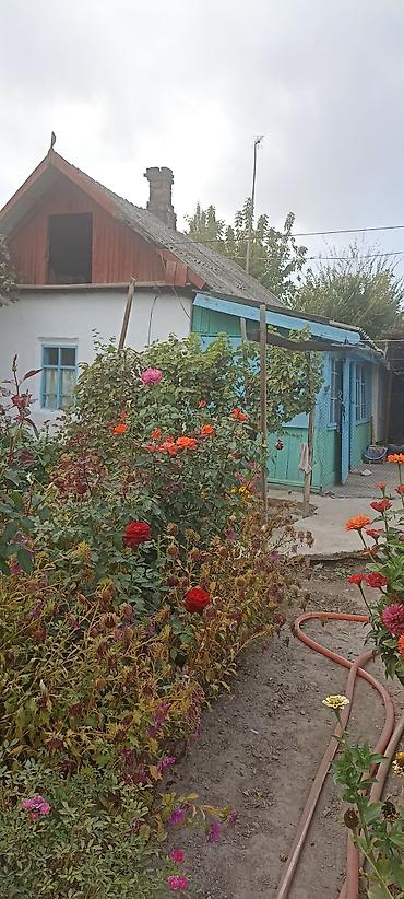 Үйлөр: Продам дом, в доме 3 комнаты, летняя кухня, хоз постройки, вода — 3