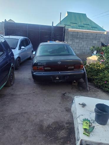 молдинги е39: Toyota Corolla (седан, поколение E100, ориентировочно 1992–1997) — 3