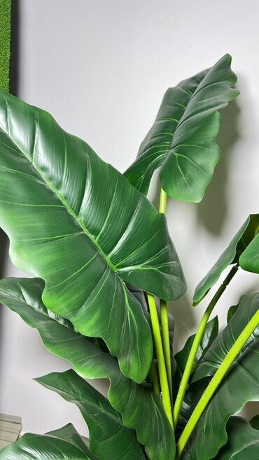 Süni güllər: Dekorativ süni ağaclar dəsti - Model 1: Varlıqlı yarpaqlı dekorativ — 8