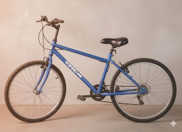 камера для велосипеда бишкек: Шаардык велосипед, Trek, Велосипед алкагы M (156 - 178 см), Колдонулган