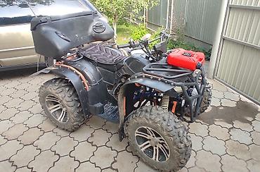 cfmoto купить: Квадроцикл Бензин, 250 куб. см, Взрослый — 2