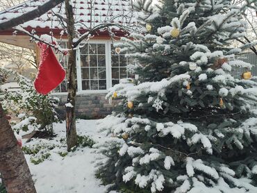 Bağ evlərinin kirayəsi: 255 kv. m, 4 otaqlı, Hovuzlu, Qaz — 31