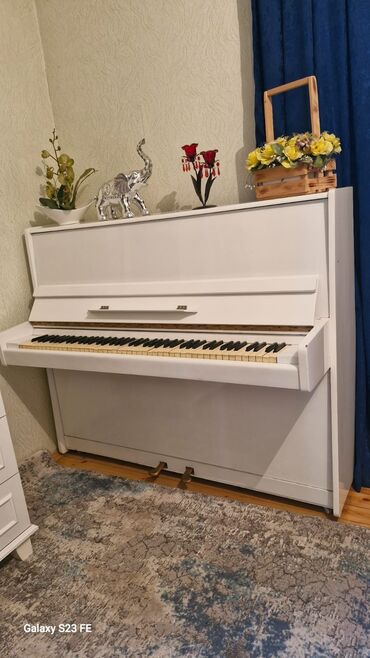 Akkordeonlar: Piano, Akustik, İşlənmiş, Ünvandan götürmə