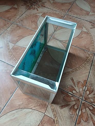 аквариум: Şüşə akvarium
Ölçüləri 35×22×16 — 1