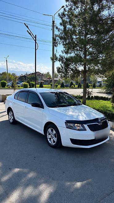06 шоха: Skoda Octavia: 2016 г., 1.6 л, Автомат, Бензин, Седан — 2