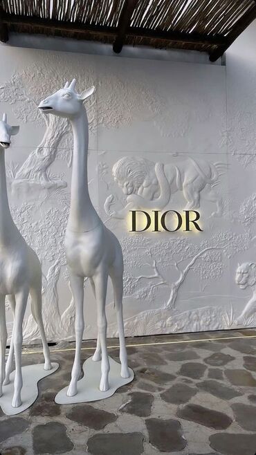 Malyar işləri: Xidmət: Fərdi divar rəsmləri və relyef (stuko) dekoru Təsvir: - — 10